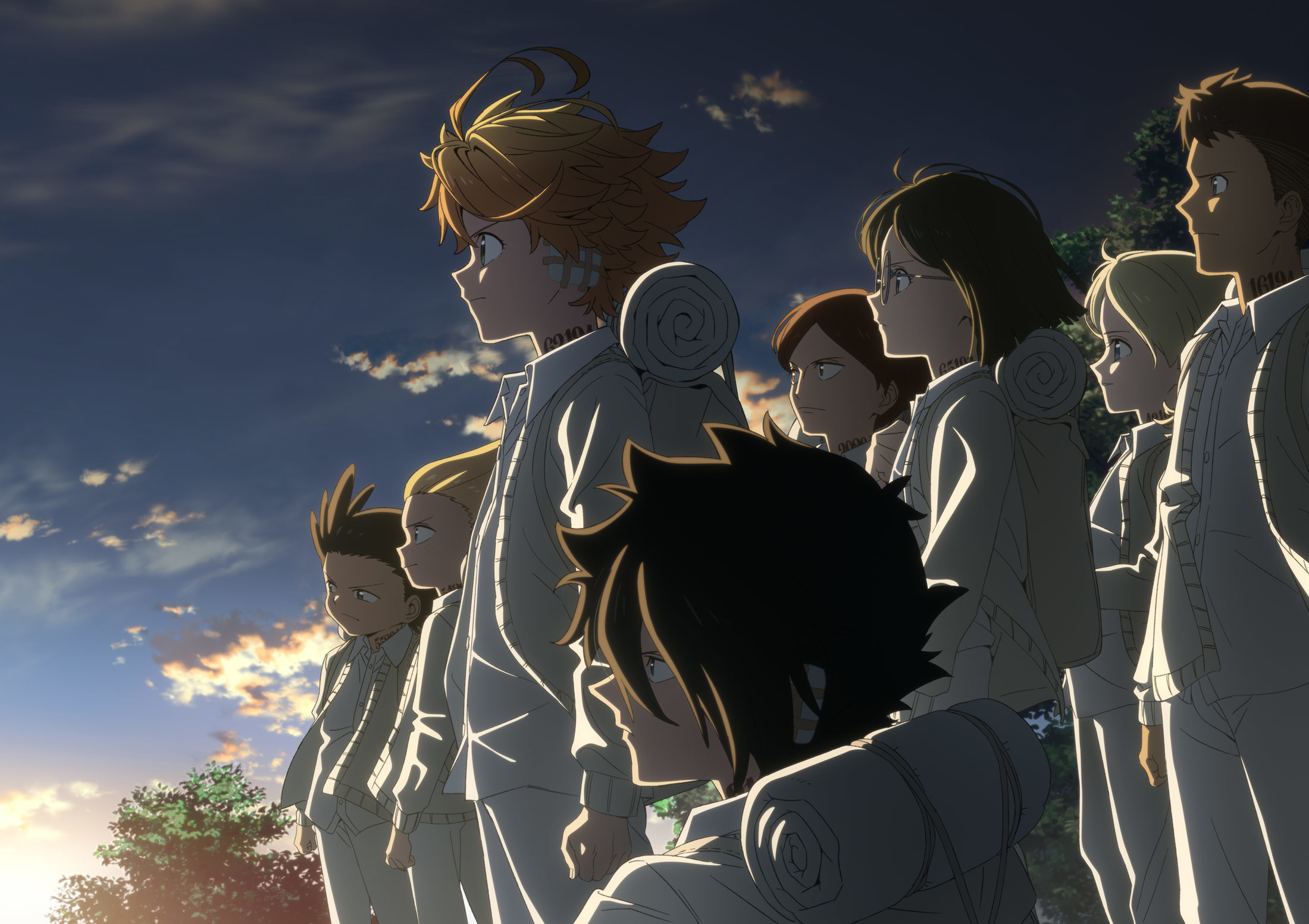 Anime Promised Neverland The Promised Neverland Gratuit WQWZK Anime Promised Neverland The Promised Neverland Gratuit WQWZK