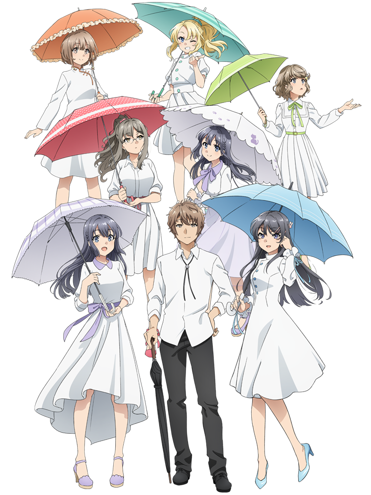 HZ, Seishun Buta Yarou Series: anime fará importante anúncio no fim de  semana