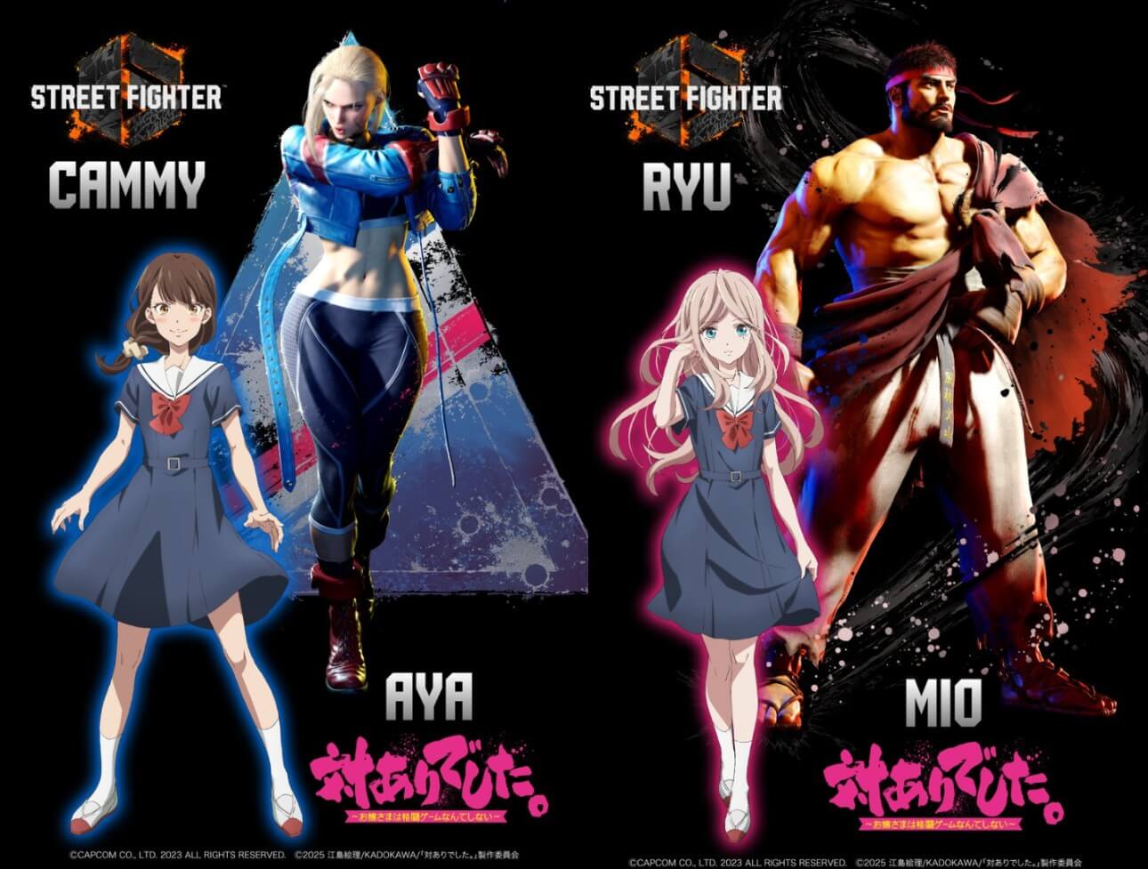 Young Ladies Don't Play Fighting Games