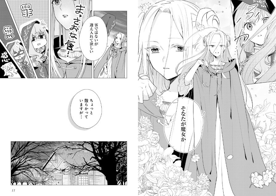 Doumo Suki na Hito ni Horegusuri wo Irai Sareta Majo desu