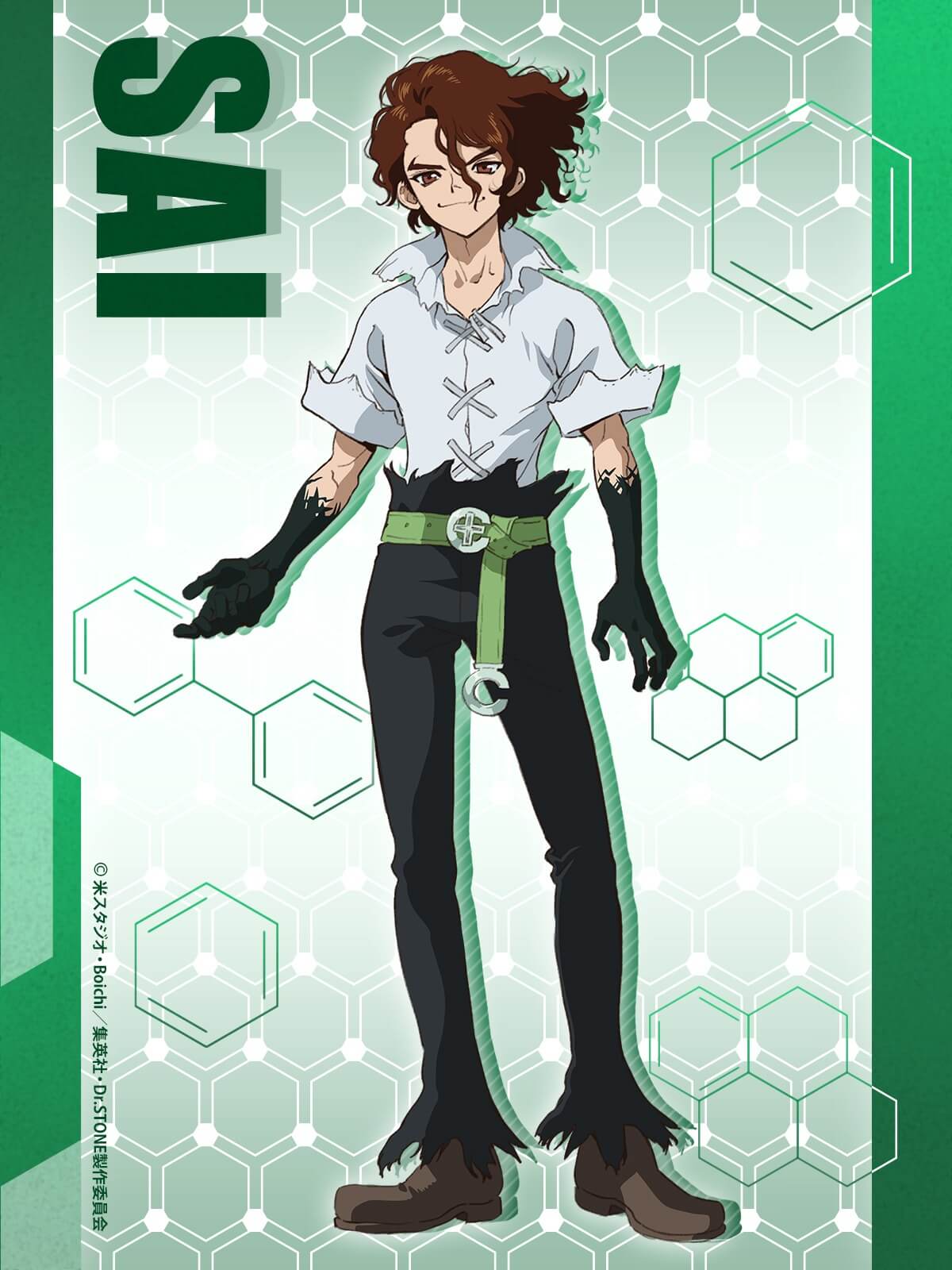 Dr. Stone Science Future Sai character
