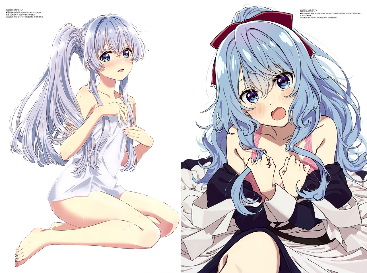Seirei Gensouki