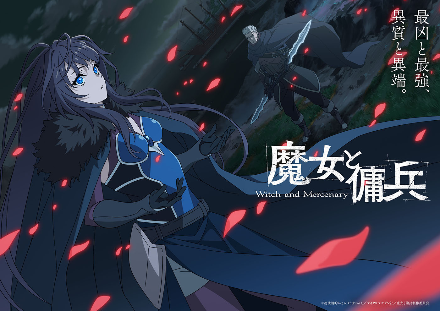 The Witch and the Mercenary